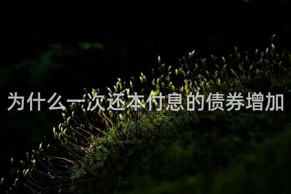 为什么一次还本付息的债券增加