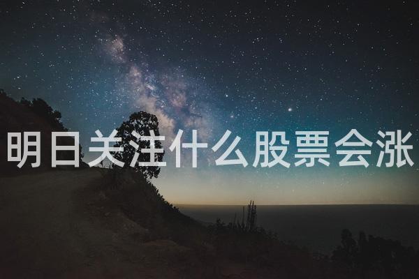 明日关注什么股票会涨