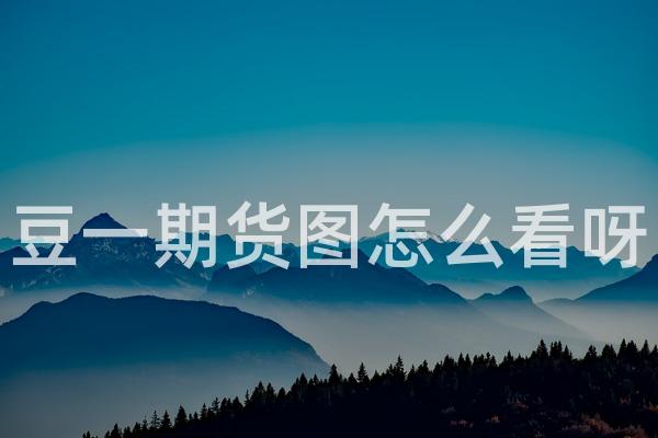 豆一期货图怎么看呀