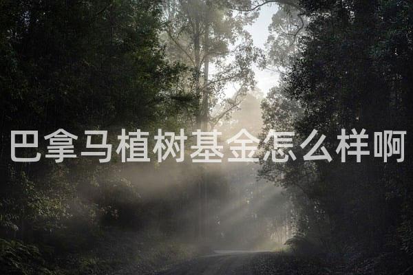 巴拿马植树基金怎么样啊