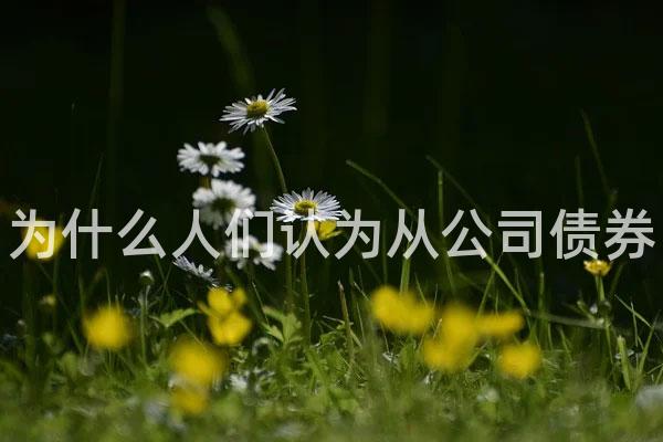 为什么人们认为从公司债券