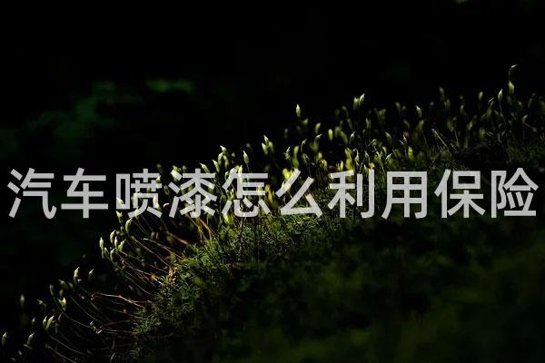 汽车喷漆怎么利用保险