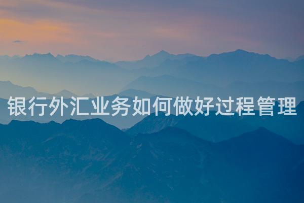 银行外汇业务如何做好过程管理