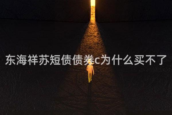 东海祥苏短债债券c为什么买不了