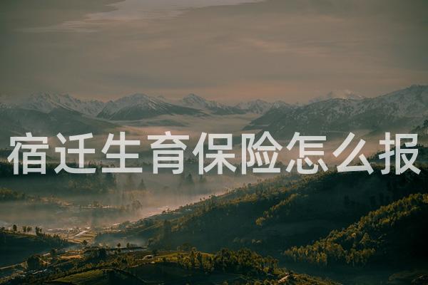 宿迁生育保险怎么报