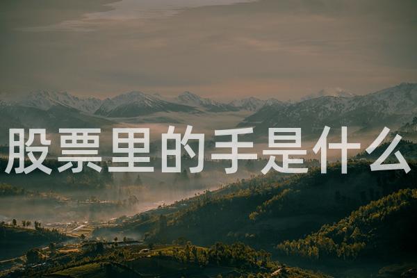 股票里的手是什么