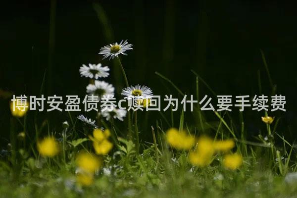 博时安盈债券c赎回为什么要手续费