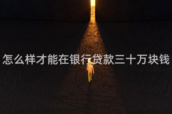 怎么样才能在银行贷款三十万块钱