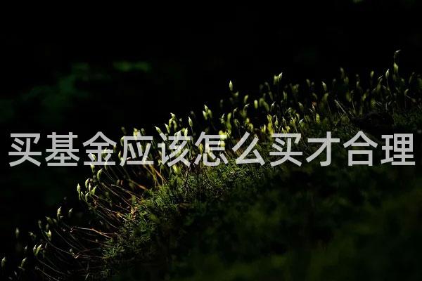 买基金应该怎么买才合理