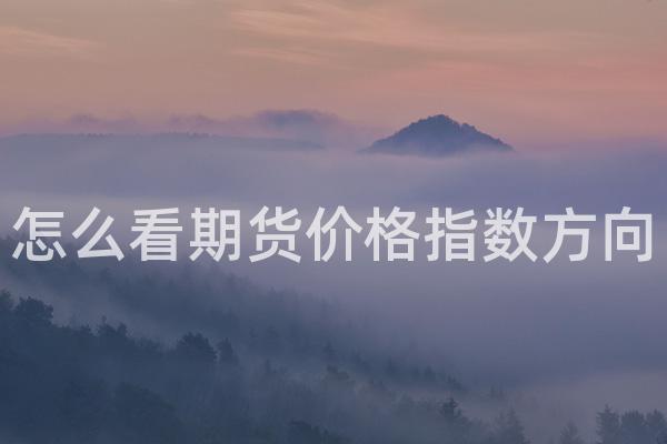 怎么看期货价格指数方向