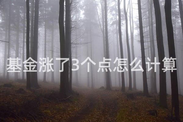 基金涨了3个点怎么计算