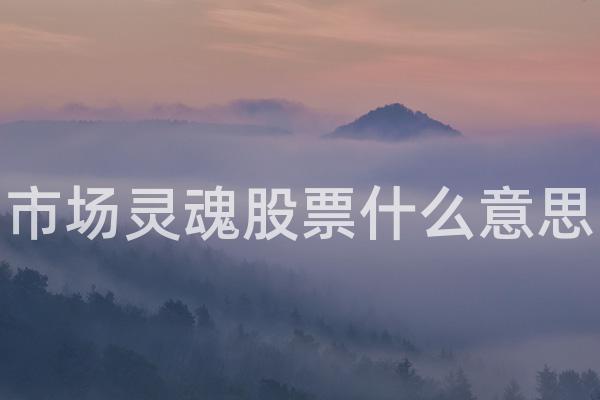 市场灵魂股票什么意思