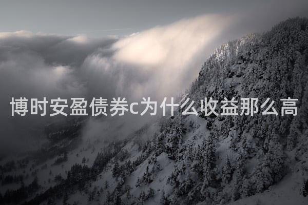 博时安盈债券c为什么收益那么高