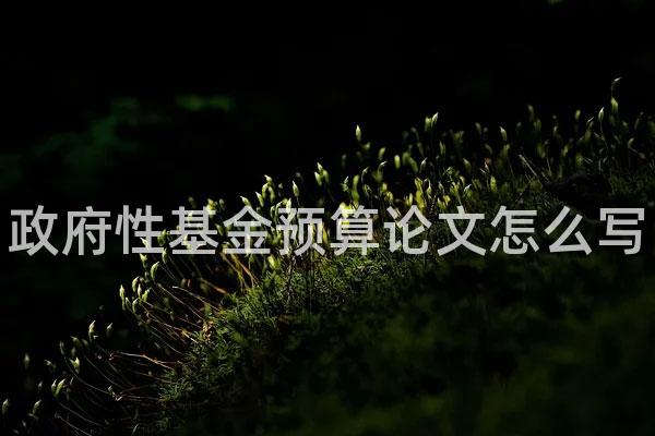政府性基金预算论文怎么写
