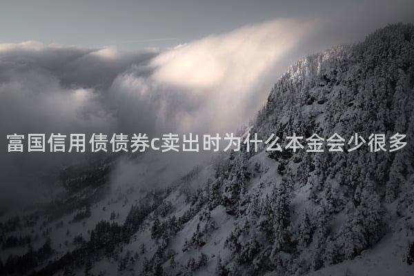 富国信用债债券c卖出时为什么本金会少很多