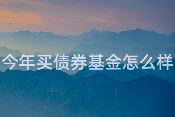 今年买债券基金怎么样