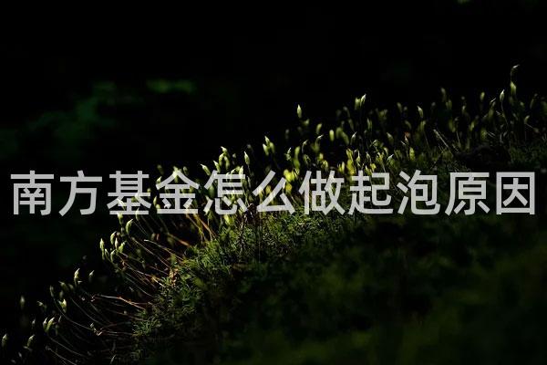 南方基金怎么做起泡原因