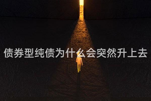 债券型纯债为什么会突然升上去