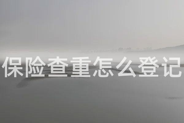 保险查重怎么登记