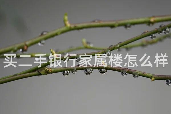 买二手银行家属楼怎么样