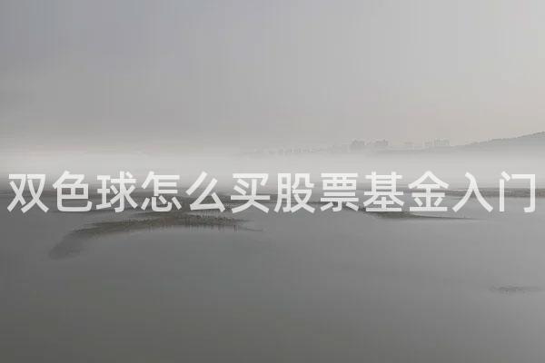 双色球怎么买股票基金入门