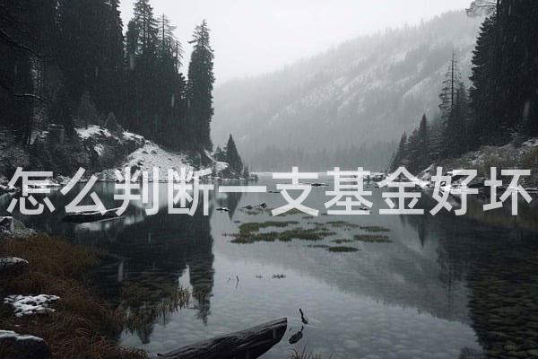 怎么判断一支基金好坏