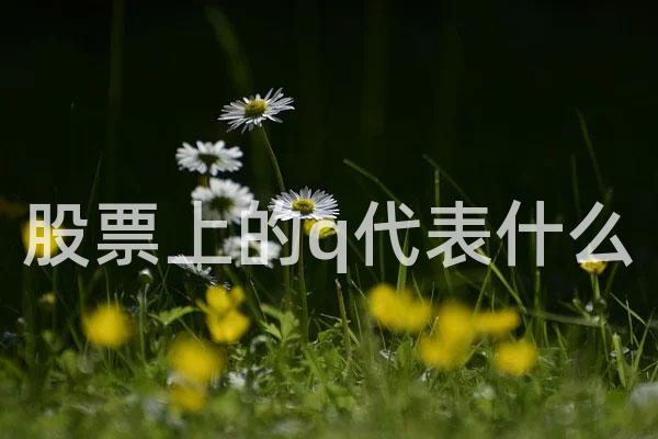 股票上的q代表什么