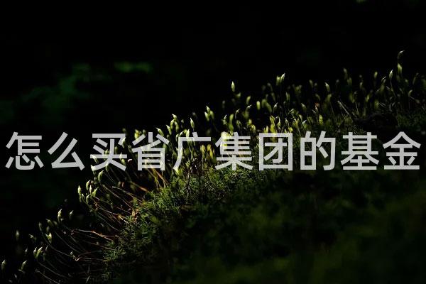 怎么买省广集团的基金