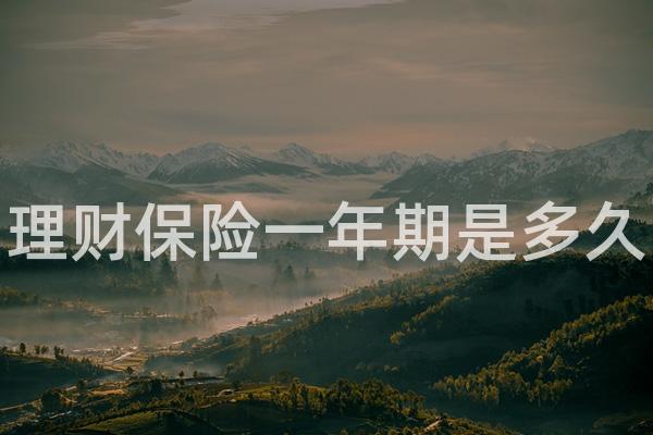 理财保险一年期是多久