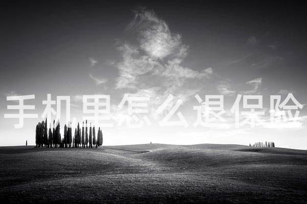 手机里怎么退保险