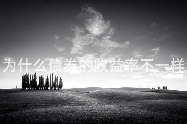 为什么债券的收益率不一样