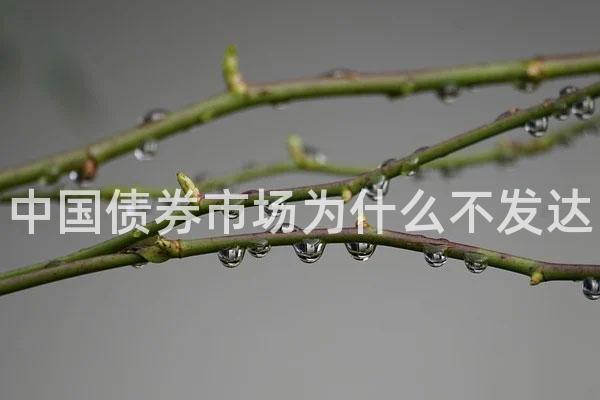 中国债券市场为什么不发达