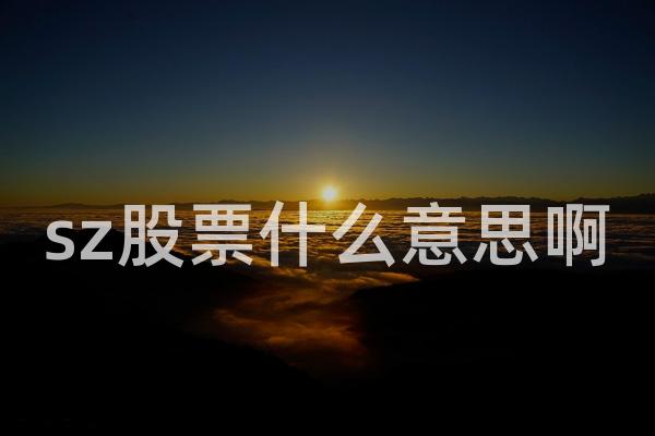 sz股票什么意思啊
