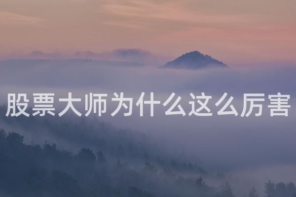 股票大师为什么这么厉害