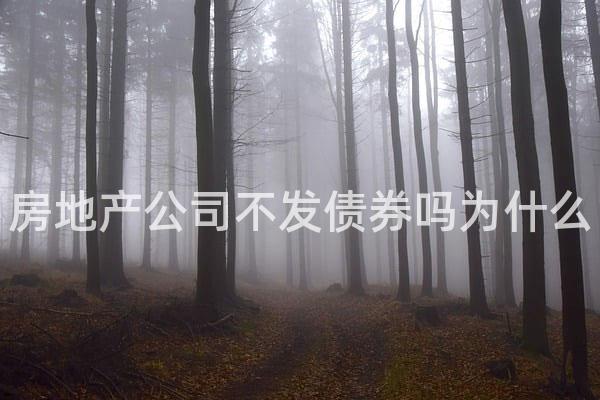 房地产公司不发债券吗为什么