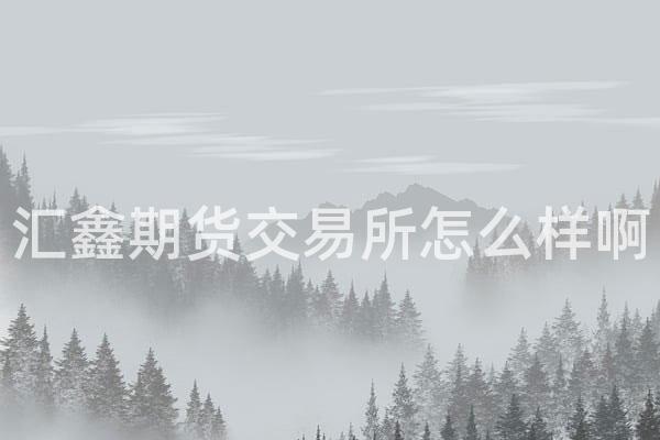 汇鑫期货交易所怎么样啊