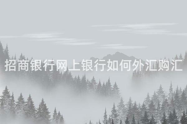 招商银行网上银行如何外汇购汇