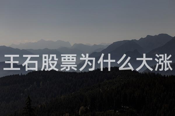 王石股票为什么大涨