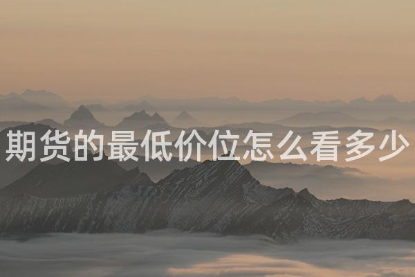期货的最低价位怎么看多少