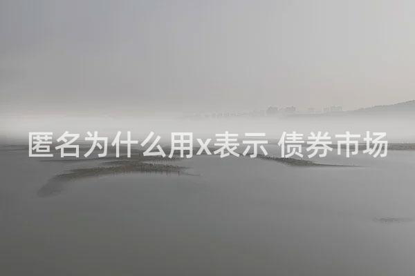 匿名为什么用x表示 债券市场