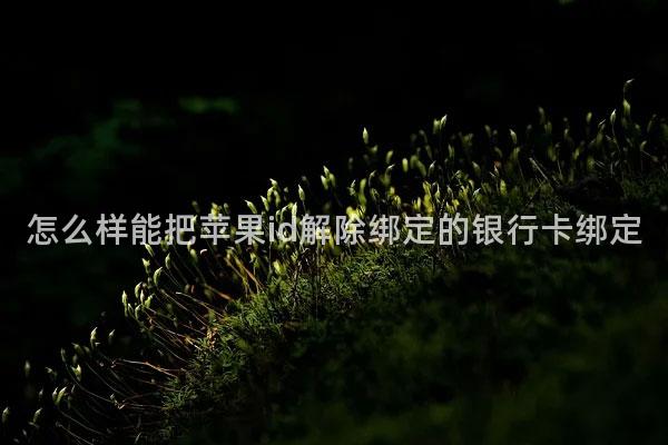 怎么样能把苹果id解除绑定的银行卡绑定