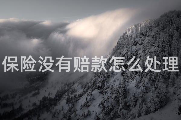 保险没有赔款怎么处理
