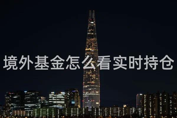境外基金怎么看实时持仓