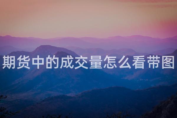期货中的成交量怎么看带图