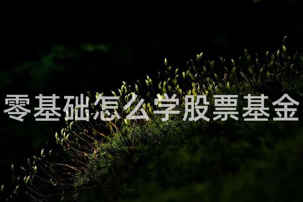 零基础怎么学股票基金