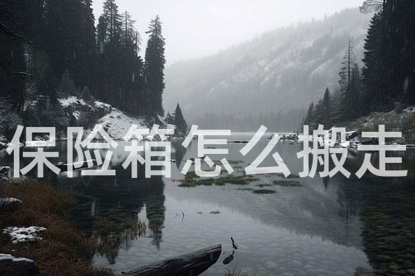 保险箱怎么搬走
