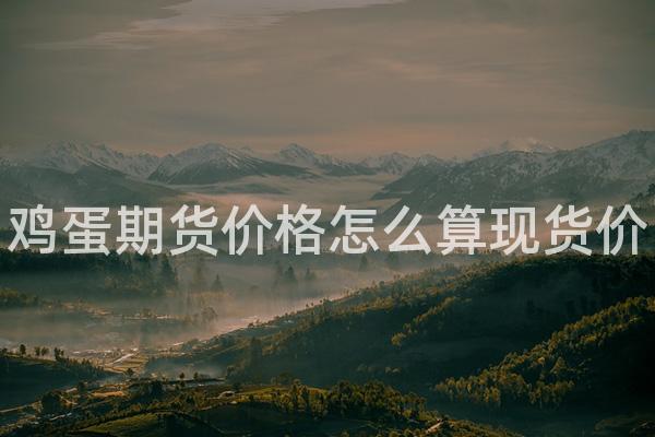 鸡蛋期货价格怎么算现货价