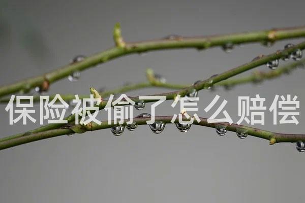 保险被偷了怎么赔偿