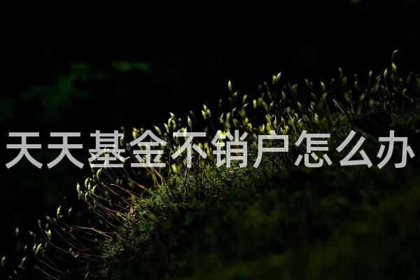 天天基金不销户怎么办