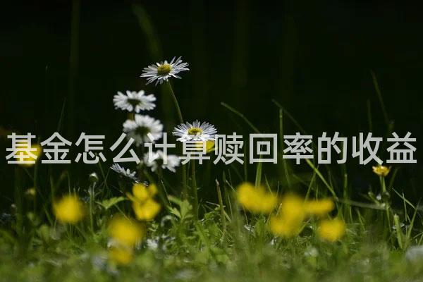 基金怎么计算赎回率的收益